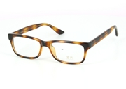 exemple de lunettes de vue que l'on peut obtenir à zéro euros sur Easy-verres.com