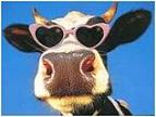 des lunettes de déguisement